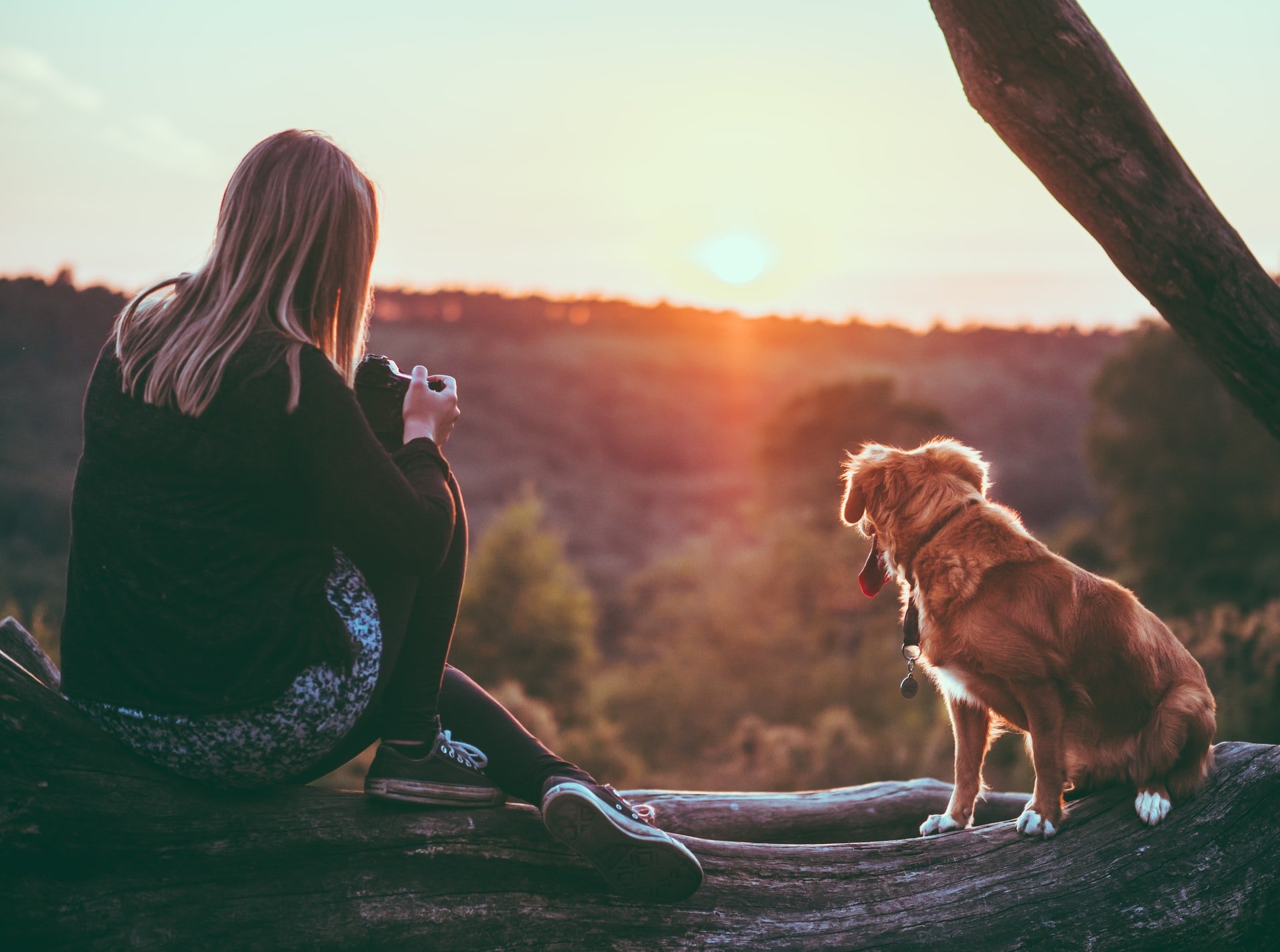 She liked taking photos of dogs | Source: Unsplash