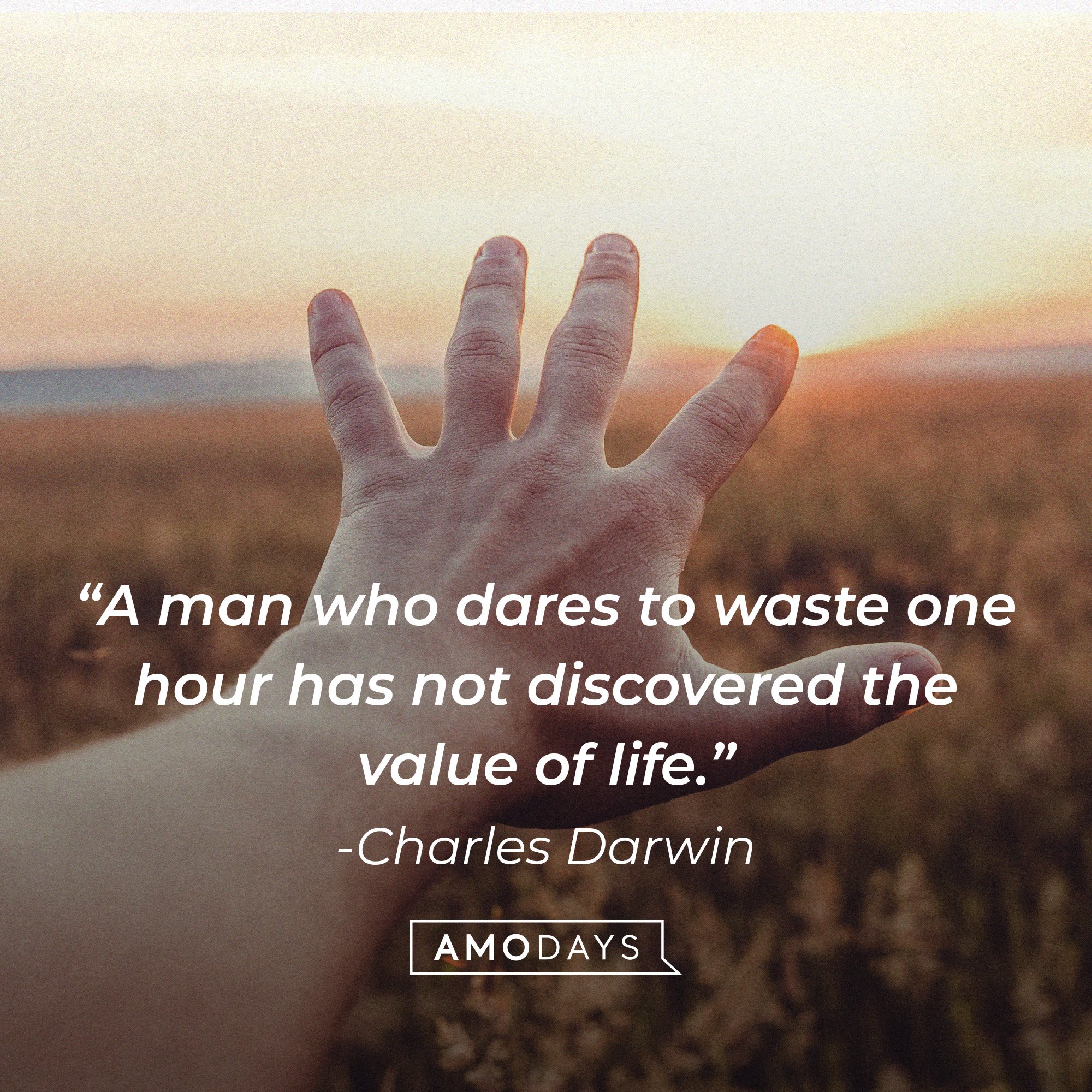Charles Darwin's quote: “A man who dares to waste one hour has not discovered the value of life.” | Image: AmoDays 