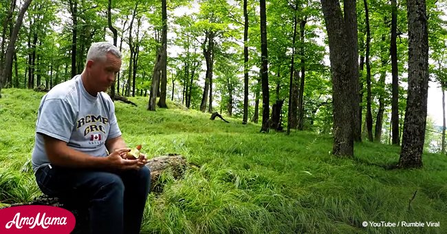 Man sits in a forest to eat lunch, but seconds later he’s surrounded by a herd of deer