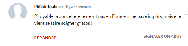 Commentaire d'un internaute. | Photo : ladepeche.fr