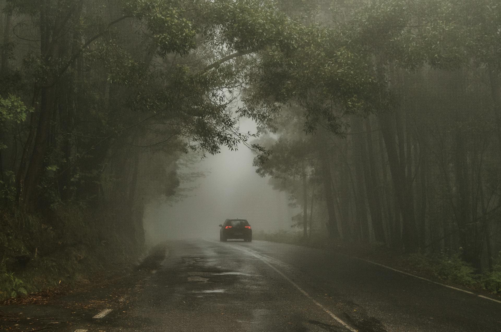 A car driving on a road | Source: Pexels