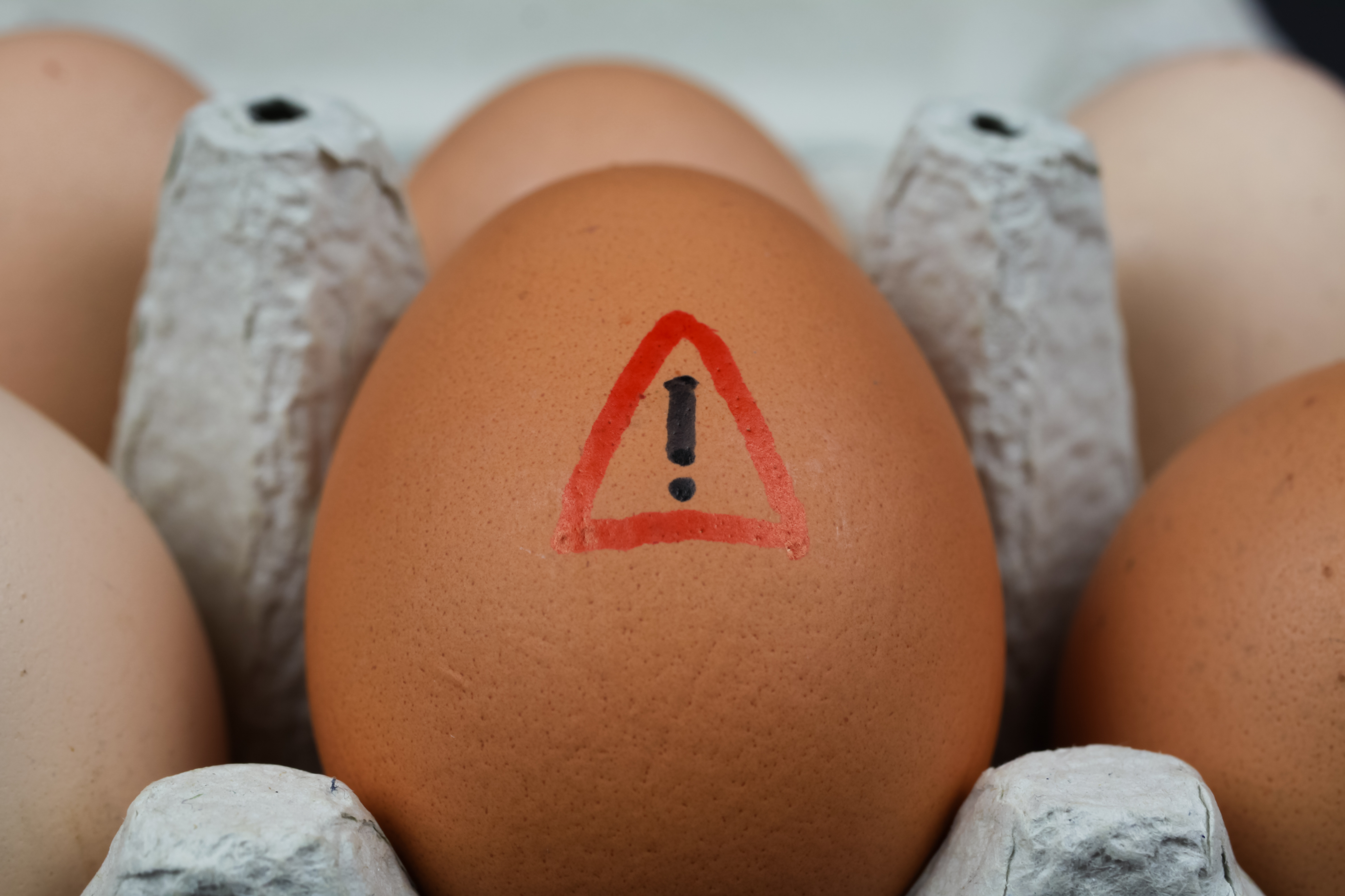 The potential contamination spans several popular egg labels that shoppers buy every week. The recalled items include both white shell eggs and brown cage-free shell eggs, as well as various bulk Grade A and Grade AA eggs. | Source: Getty Images