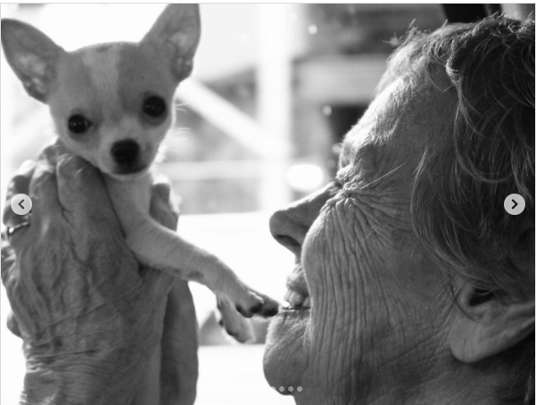 A photo of Nala being held dog dated dated June 16, 2024 | Source: instagram/nicolaannepeltzbeckham