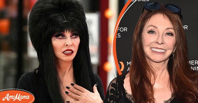 Cassandra Peterson Hid Her Romance with a Woman for 19 Years after ...