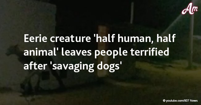 Eerie creature 'half human, half animal' leaves people terrified after 'savaging dogs'