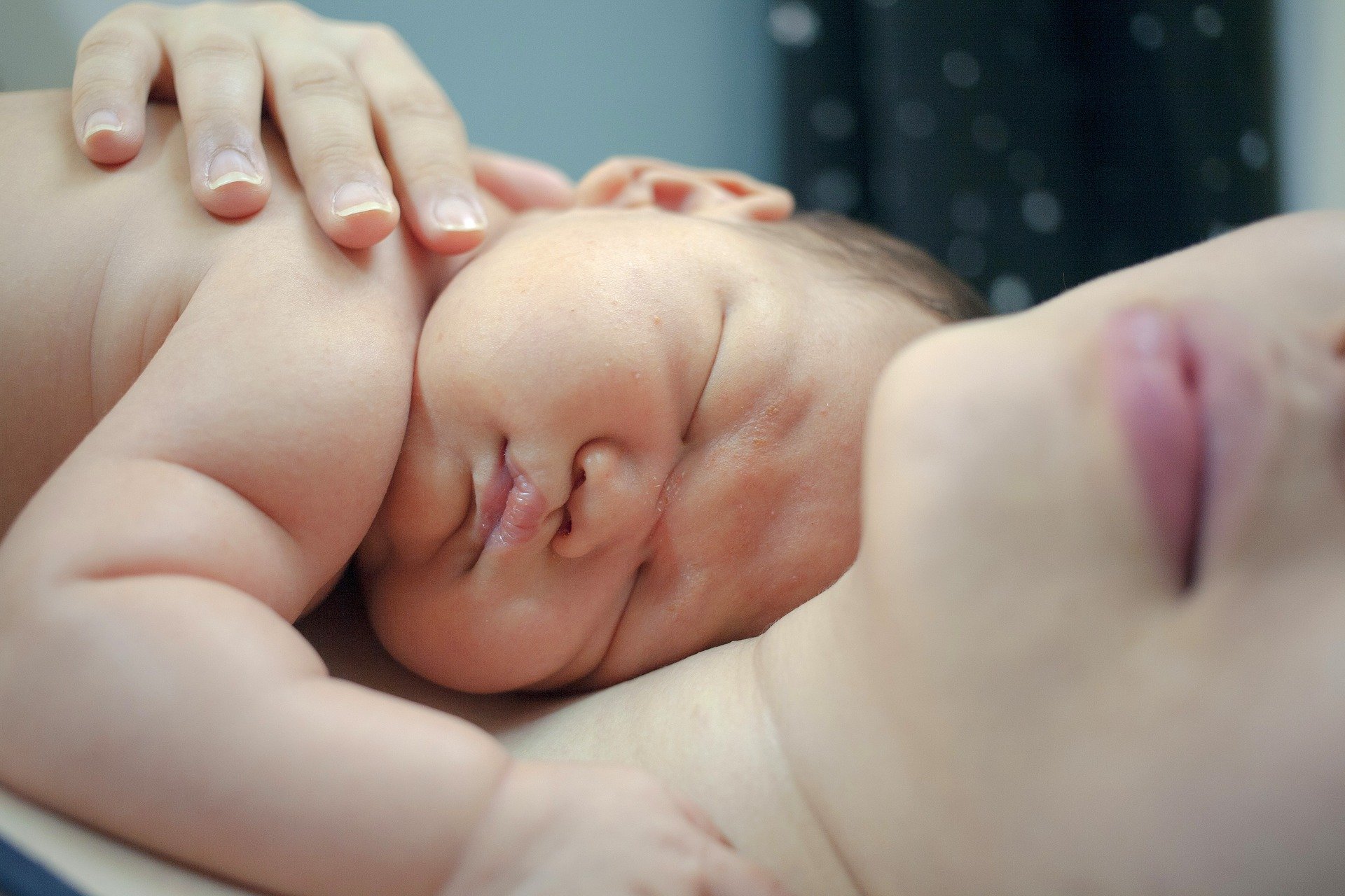 Bebé recién nacido descansa sobre mamá. Fuente: Pixabay