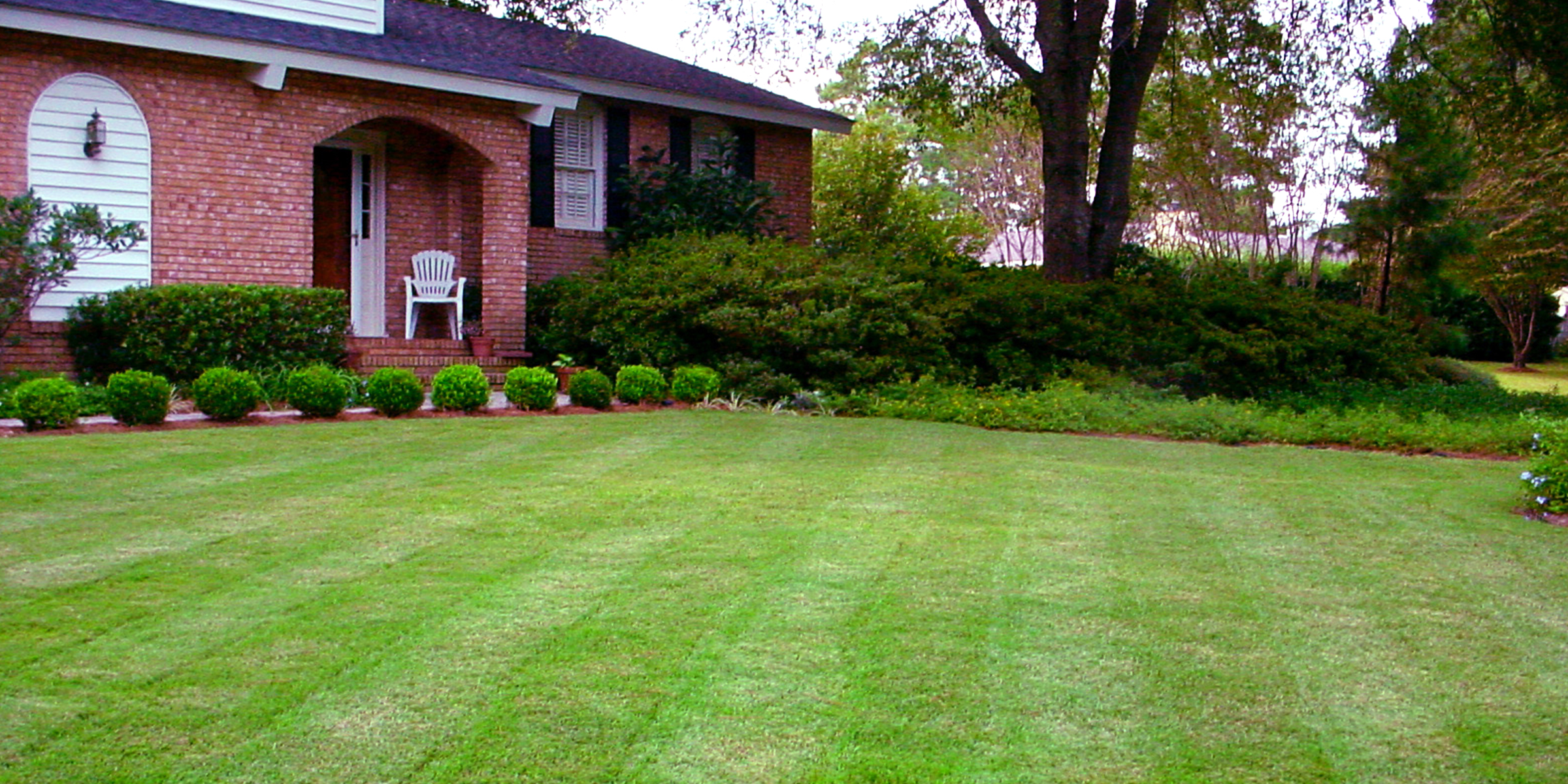 An immaculate lawn | Source: Flickr/Sir Mildred Pierce/CC BY 2.0