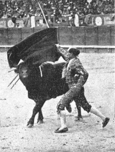 Rafael Gómez Ortega, "El Gallo" | Foto: Wikipedia
