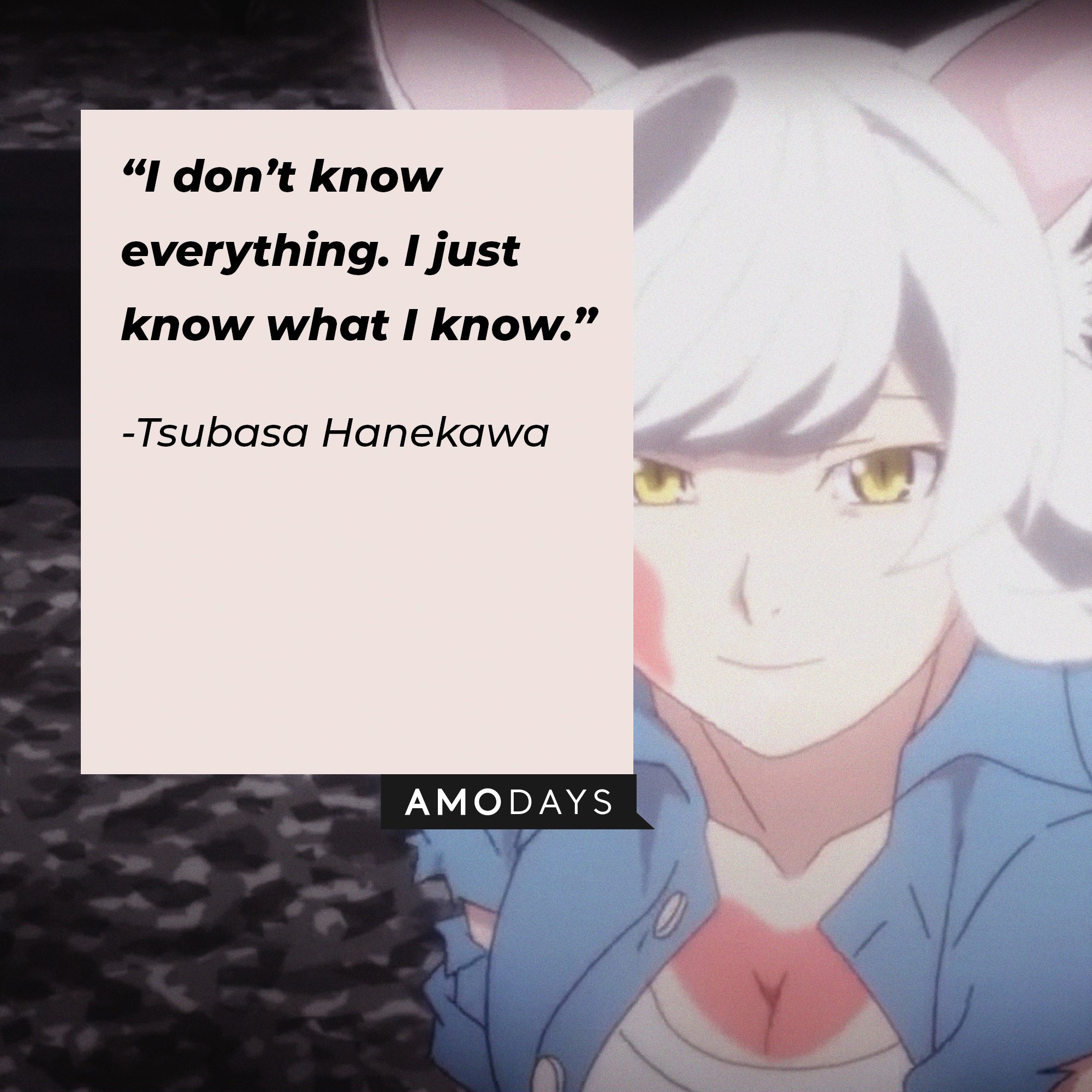 Tsubasa Hanekawa’s quote: "I don't know everything. I just know what I know." | Image: AmoDays