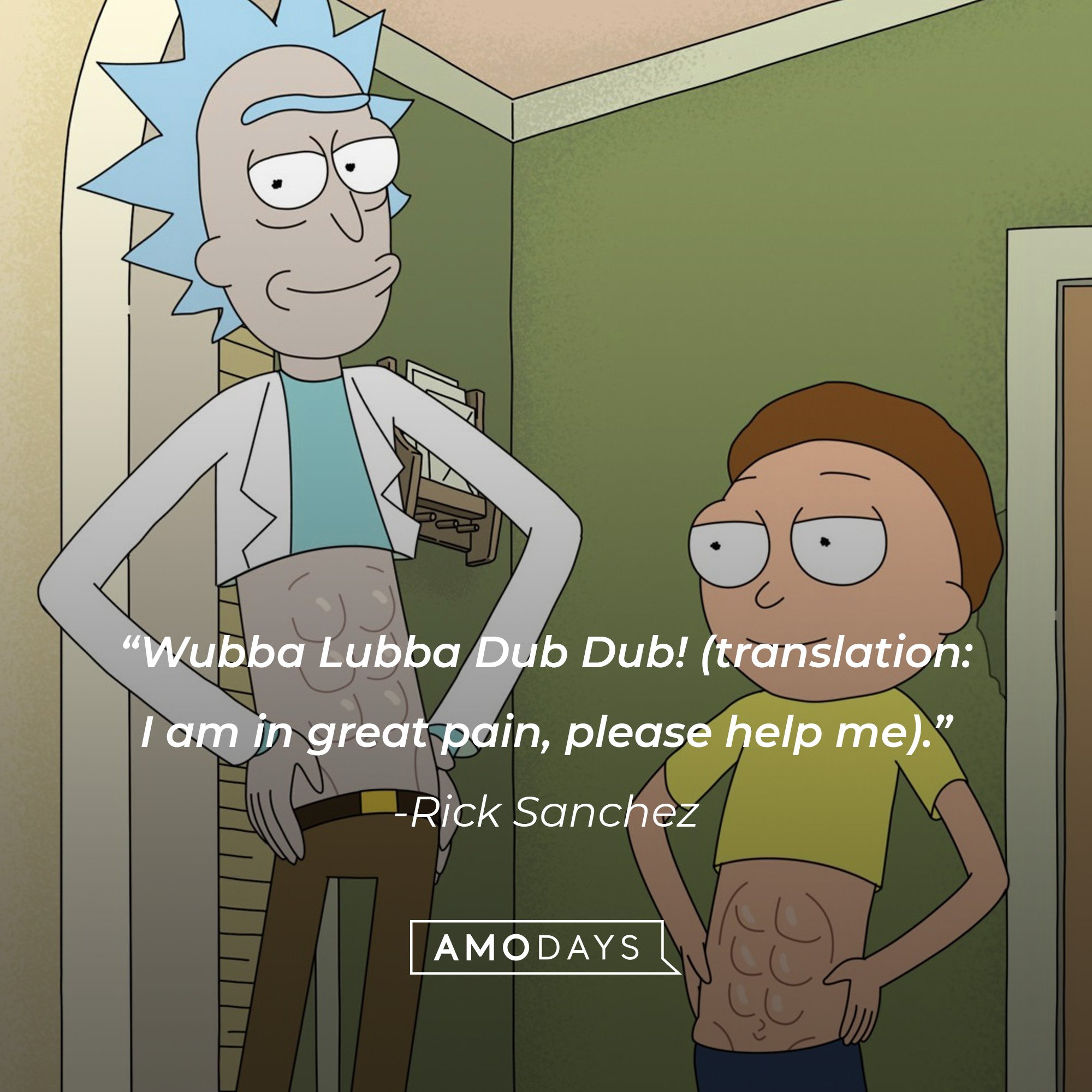 Rick Sanchez's quote: “Wubba Lubba Dub Dub! (translation: I am in great pain, please help me).” | Image: AmoDays
