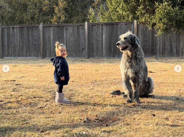 One of Kylie Kelce daughters standing beside Baloo in the yard, reflecting their playful companionship, posted on March 22, 2025 | Source: Instagram/kykelce