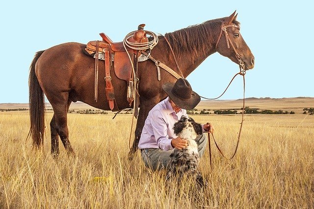 A man in a farm pets his dog next to his horse while out in the county. I Photo: Pixabay.