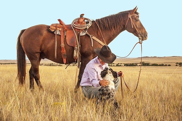 A man in a farm pets his dog next to his horse while out in the county. I Image: Pixabay.