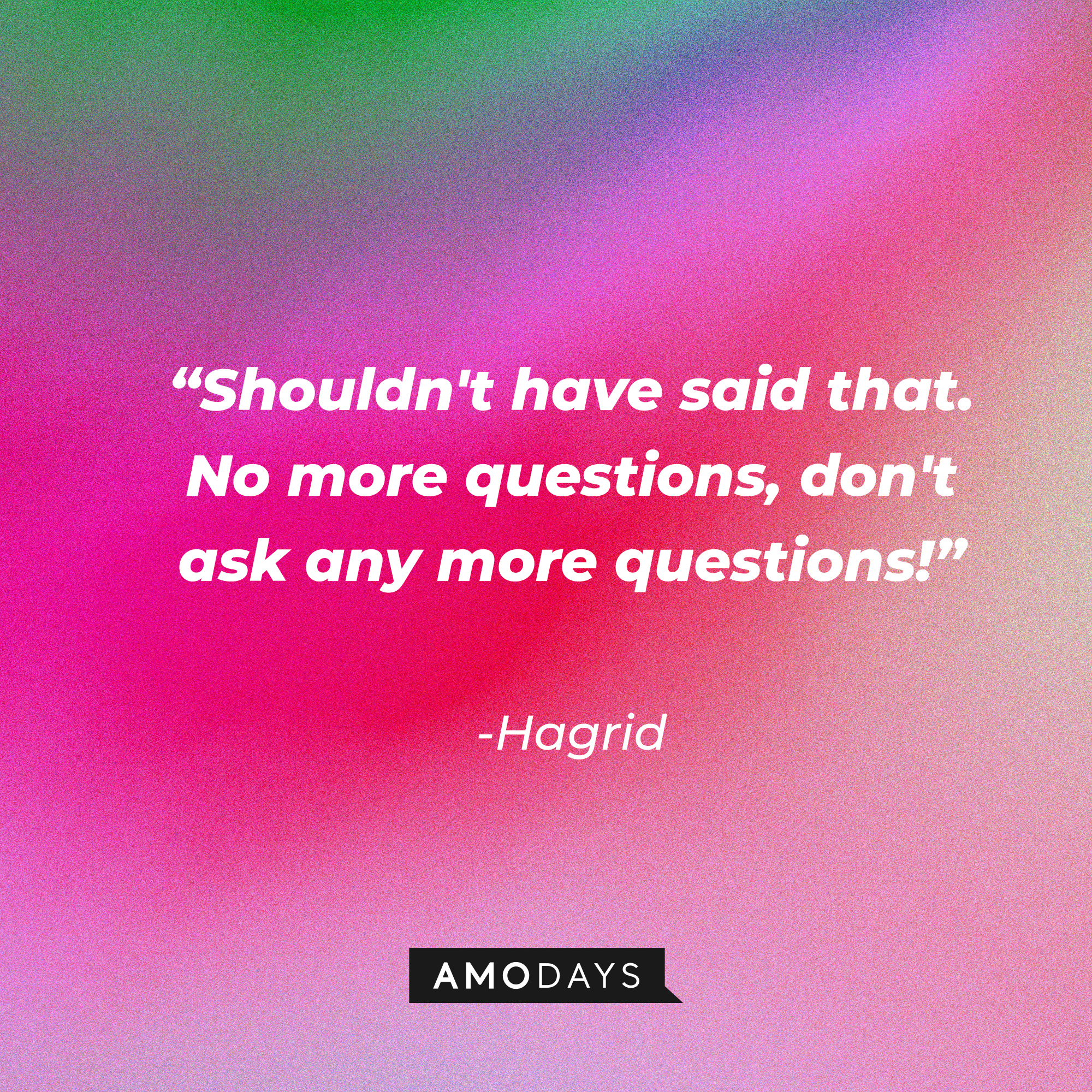 Hagrid's quote: "Shouldn't have said that. No more questions, don't ask any more questions!" | Source: AmoDays