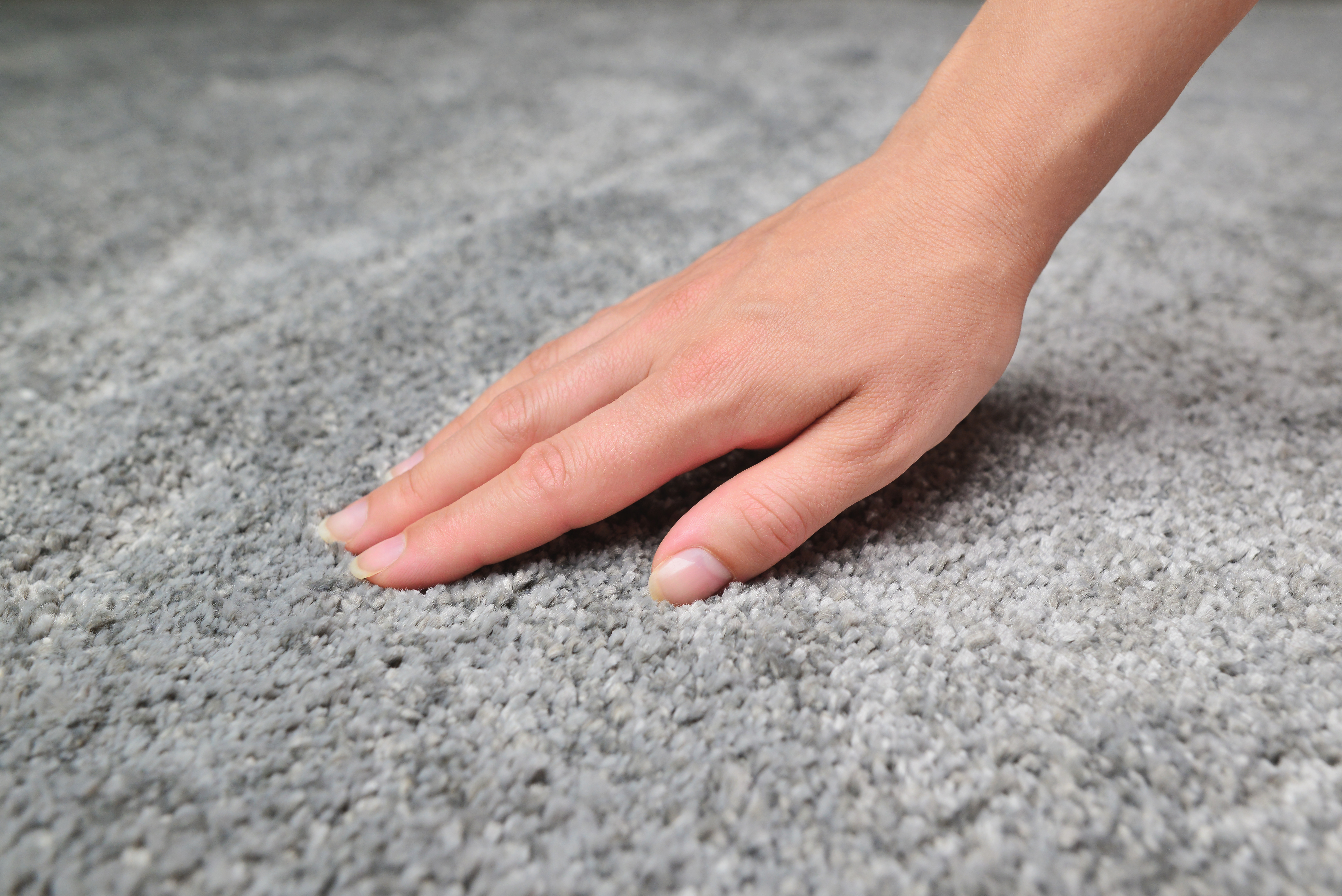 Carpet | Source: Shutterstock