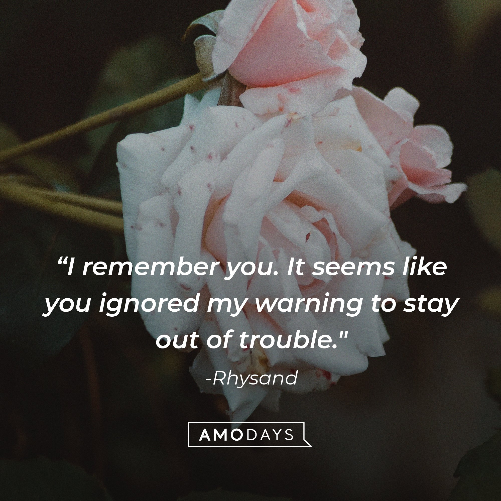 Rhysand’s quote: "I remember you. It seems like you ignored my warning to stay out of trouble."  |  Image: AmoDays