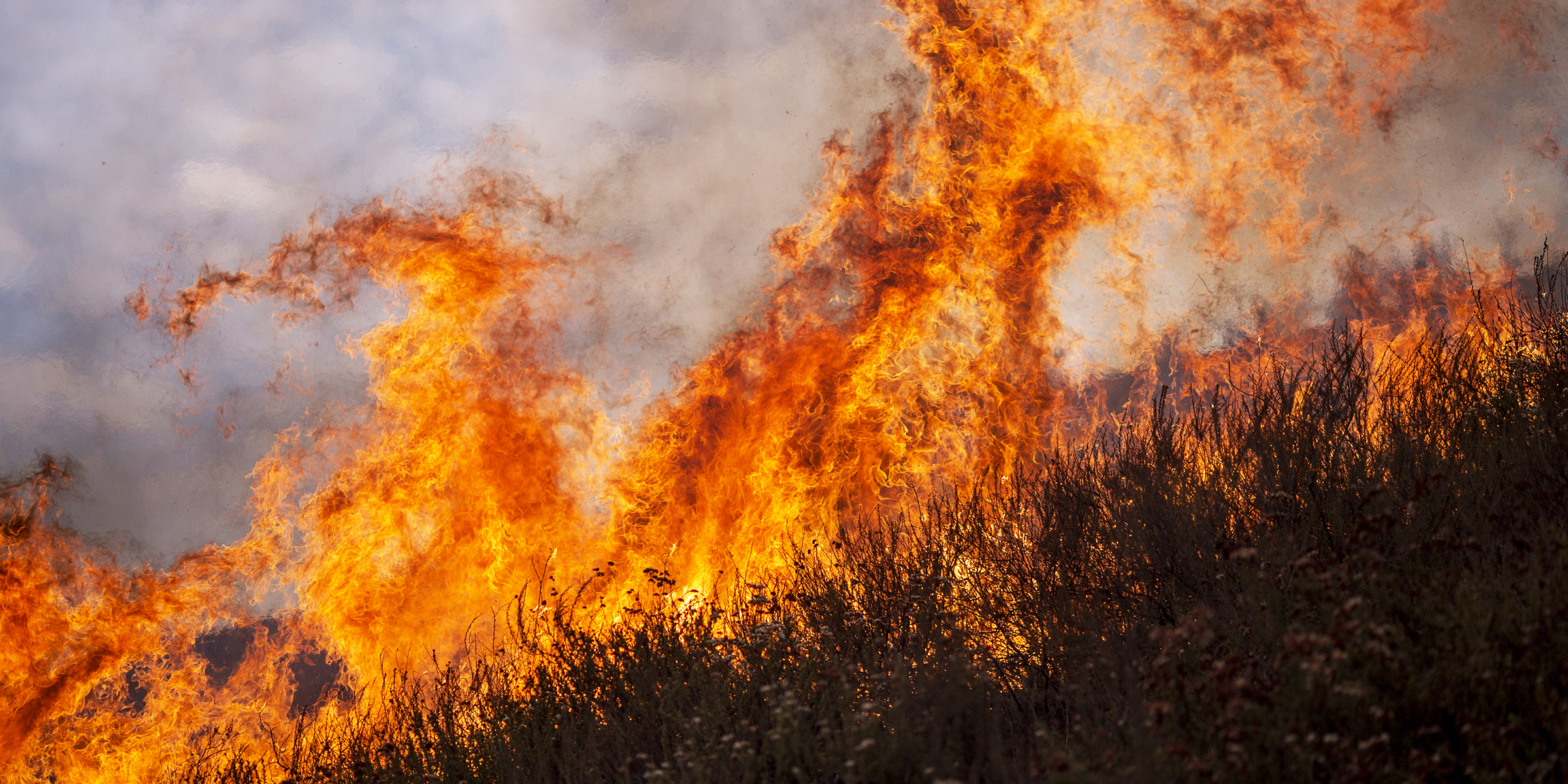 A wildfire | Source: Getty Images