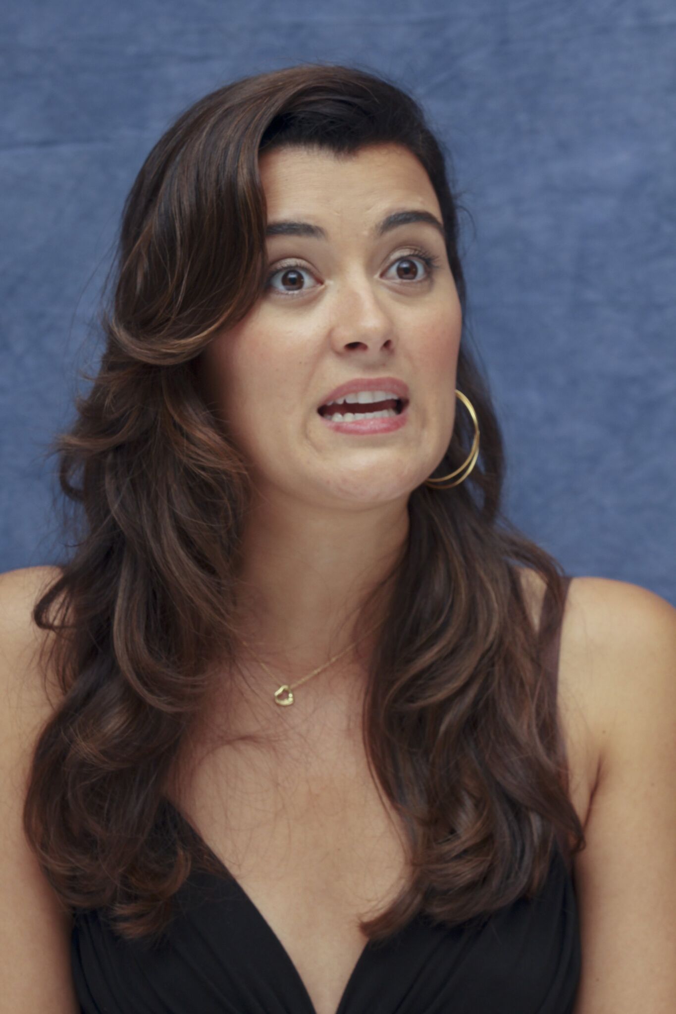 cote de pablo