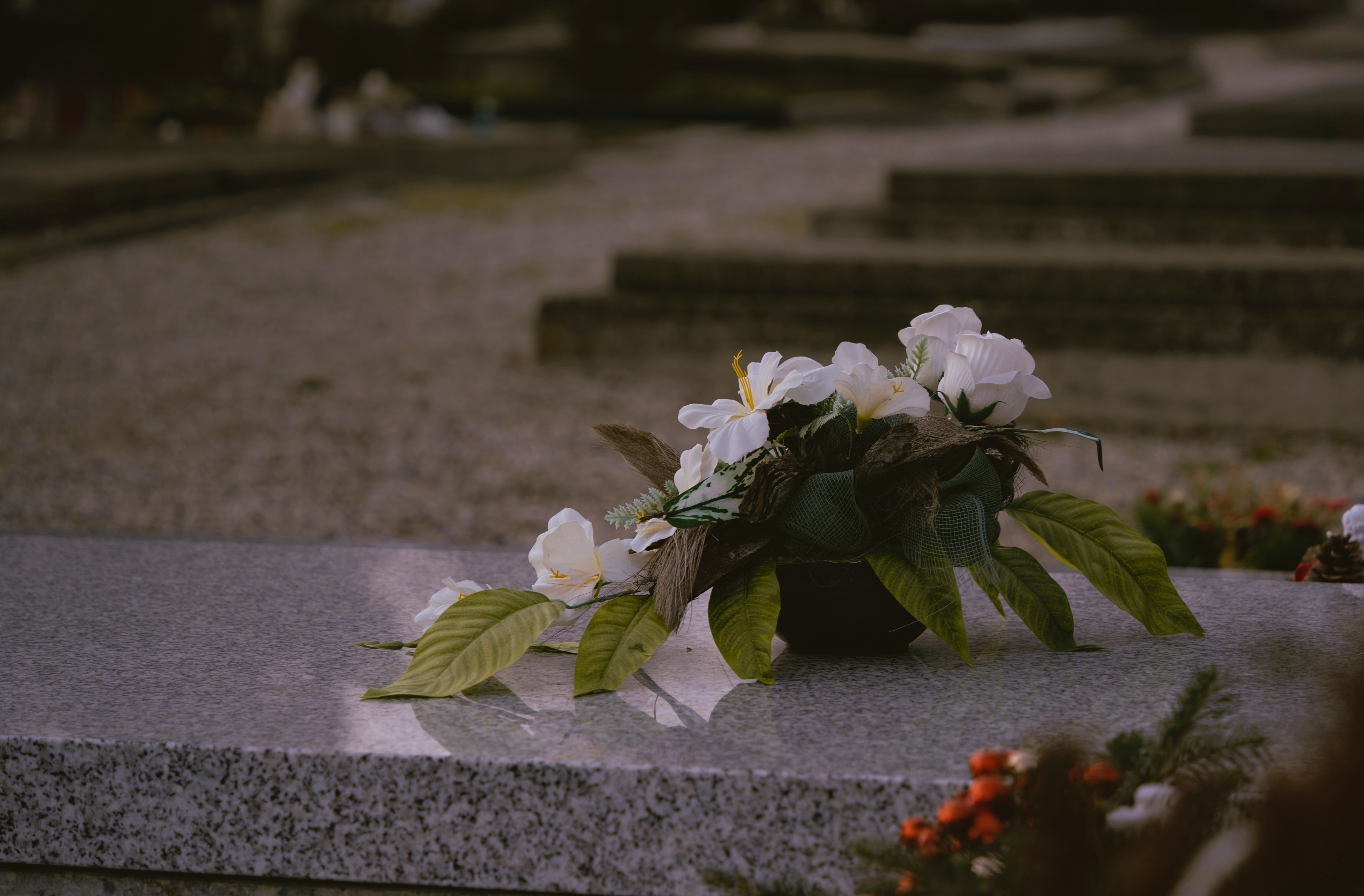Edgar sah, wie die Frau Blumen auf Carolines Grab legte. | Quelle: Unsplash