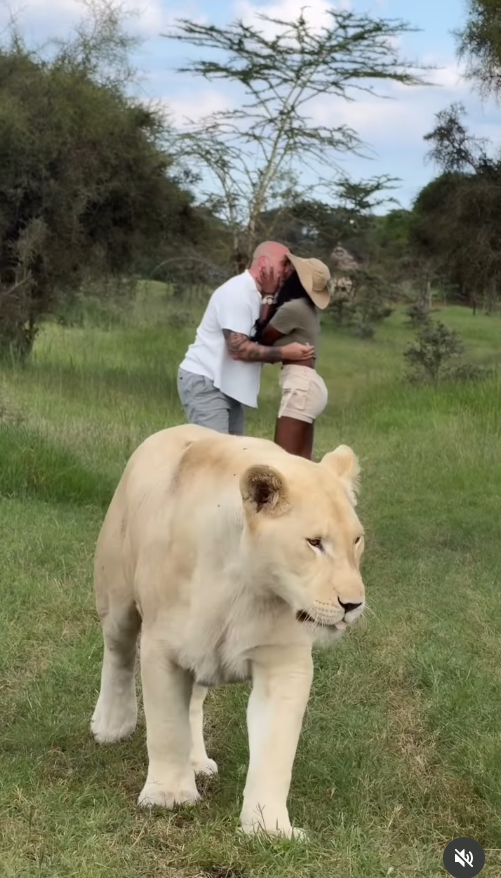 oe McCann and Ashly Robinson share a celebratory kiss behind it, their embrace sealing the moment as wild beauty and romance collide in the open savannah. | Source: Instagram/ashleejenae