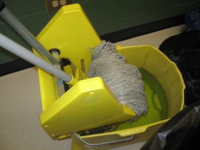 A cleaning mop. | Photo: Flickr