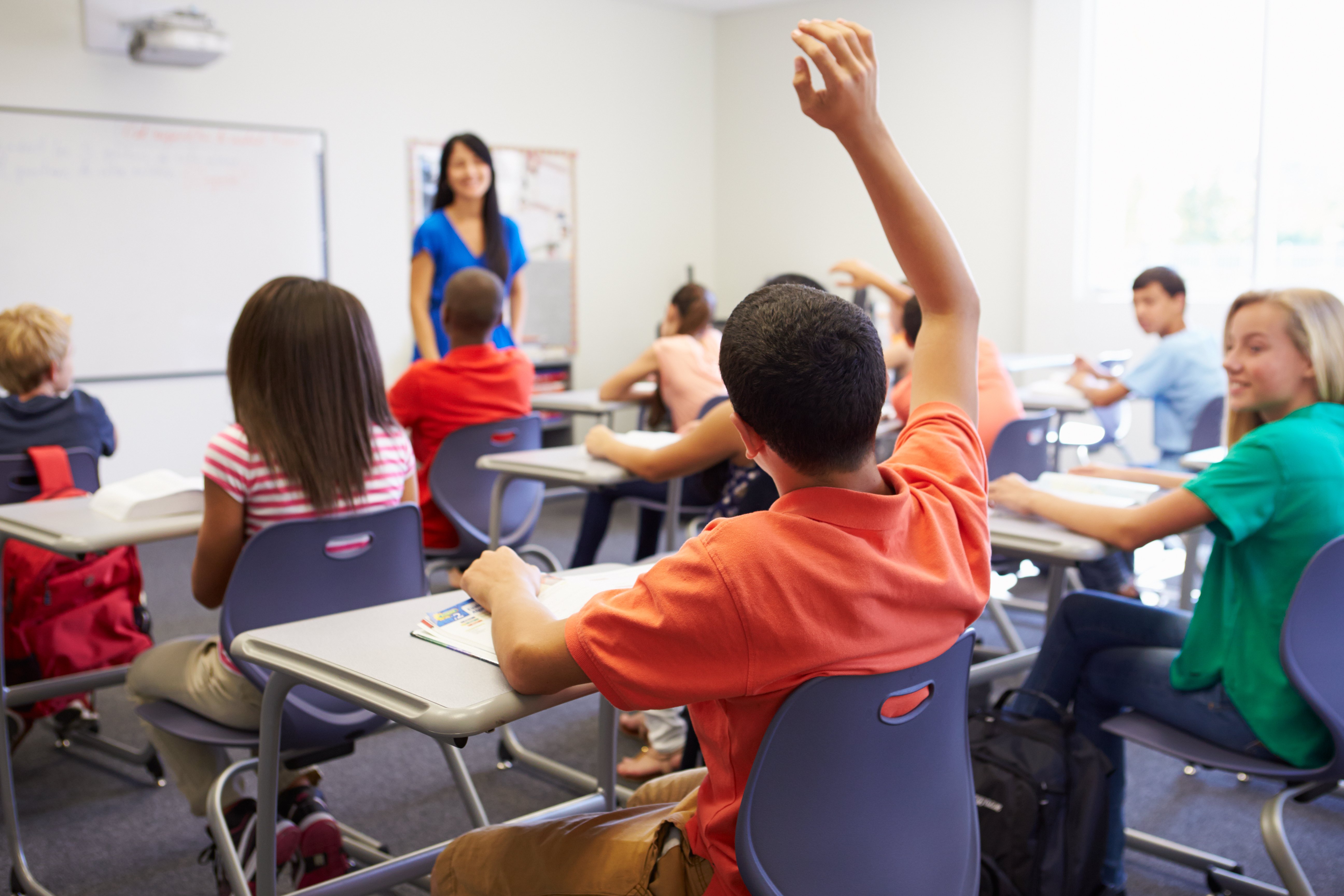 Male student raising his hand in class.|Source: Shutterstock