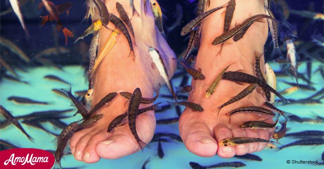  'Harmless' fish pedicure caused woman's toenails to fall off