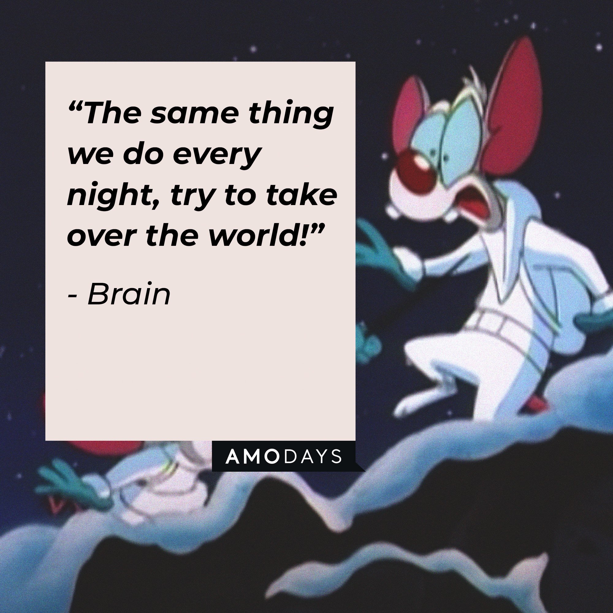  Brain's quote: “The same thing we do every night, try to take over the world!” | Image: AmoDays