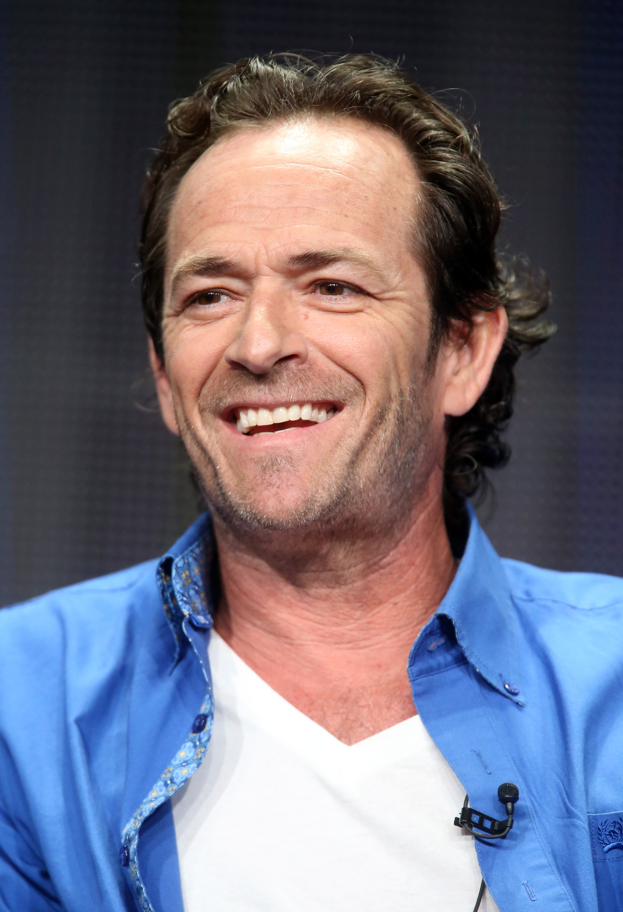 Luke Perry speaking at a panel in Los Angeles in 2015 | Source: Getty Images
