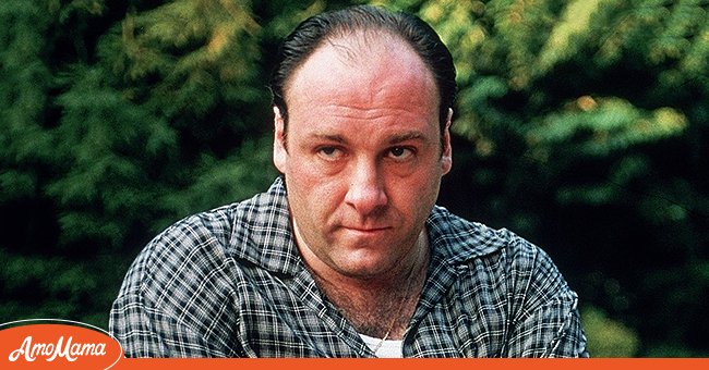 James Gandolfini was an New Jersey-born actor who was most famous for his role as Tony Soprano in the series, "The Sopranos." | Source: Getty Images