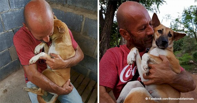 Dog can't stop hugging the man who rescued her from being slaughtered