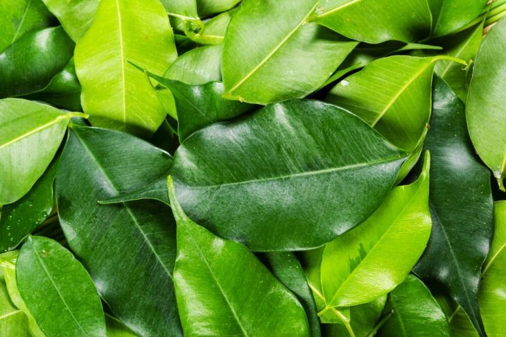 Imagen tomada de: Shutterstock Imagen tomada de: Shutterstock
