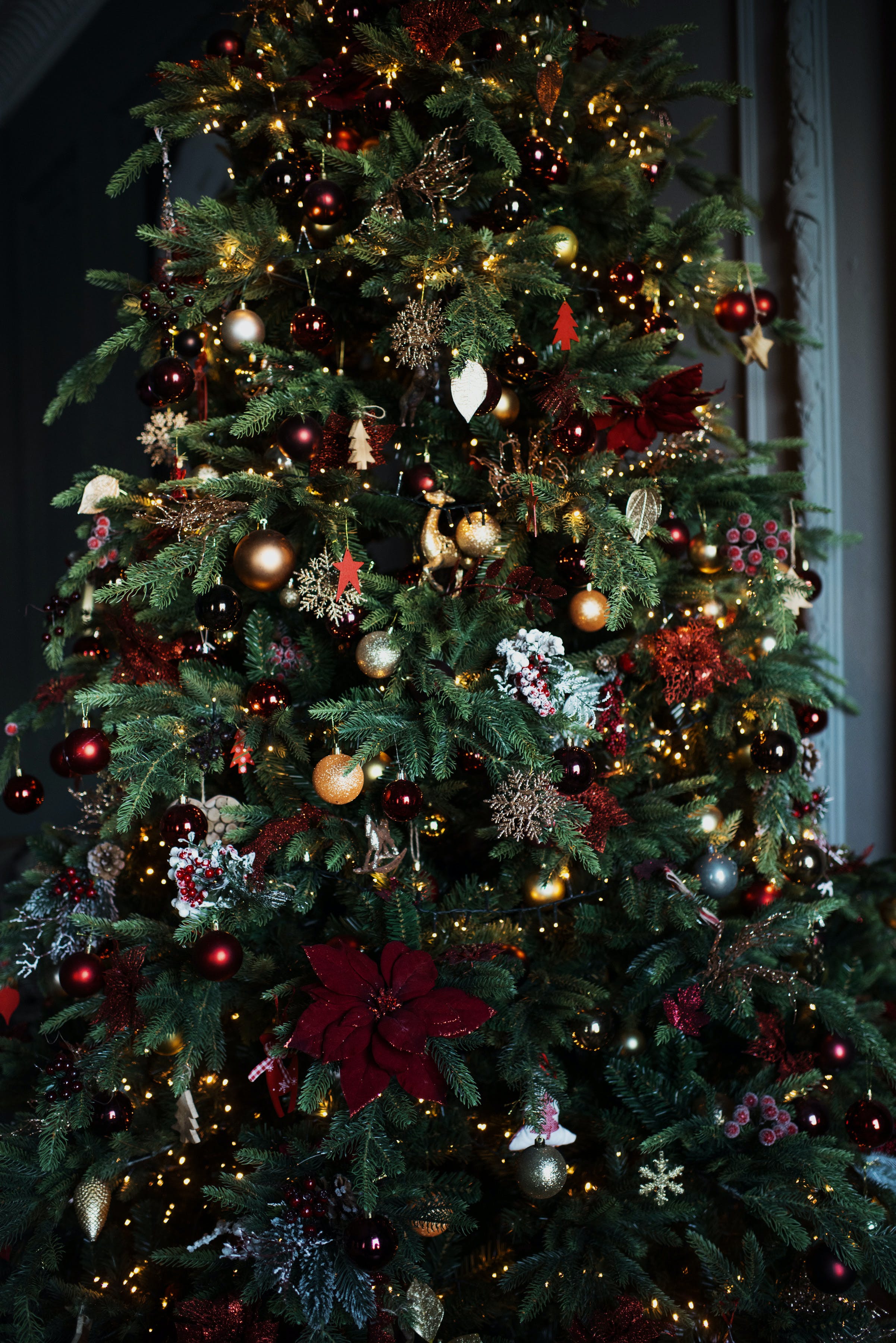 Christmas tree | Source: Pexels