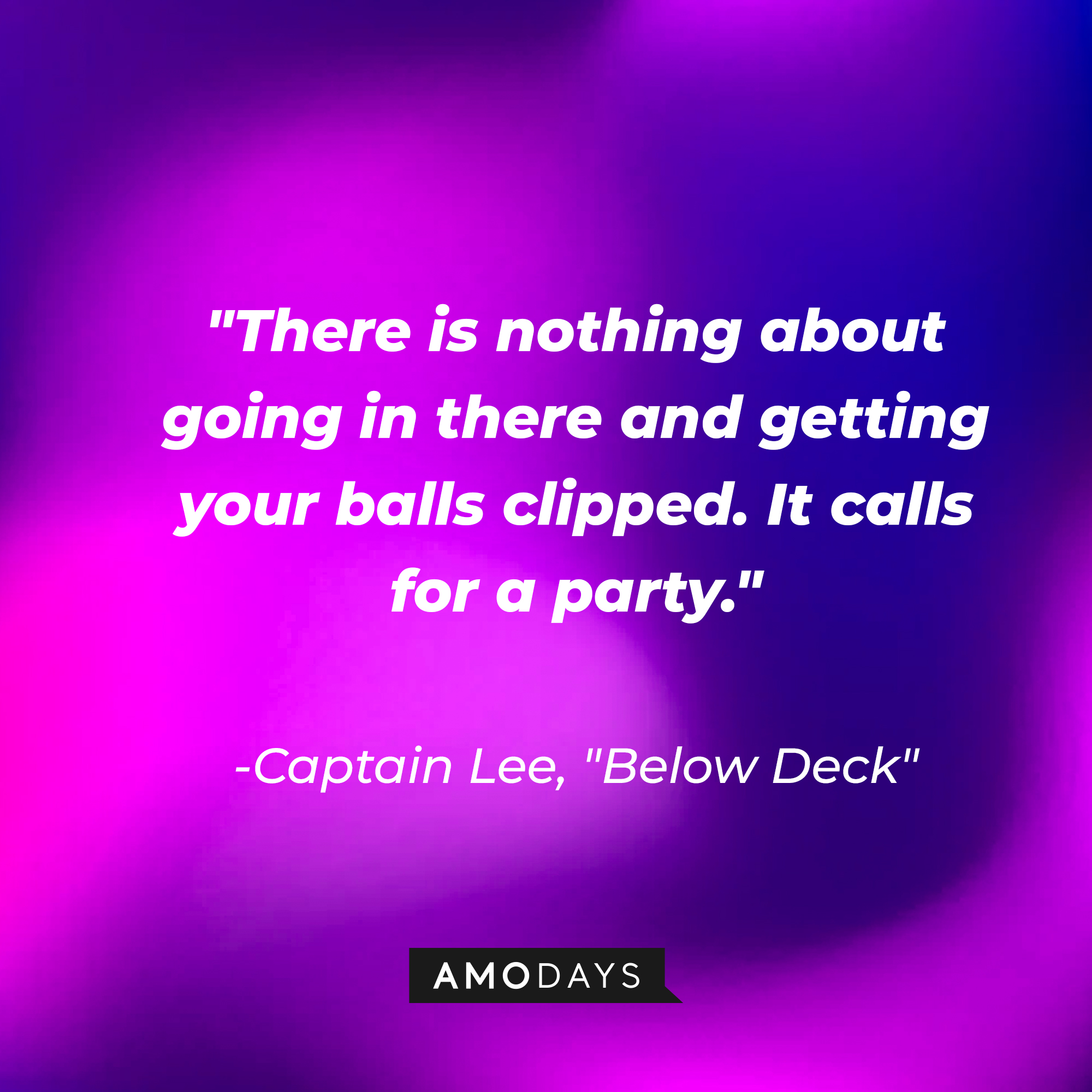 Captain Lee's quote from "Below Deck:" "There is nothing about going in there and getting your balls clipped. It calls for a party."  | Source: AmoDays