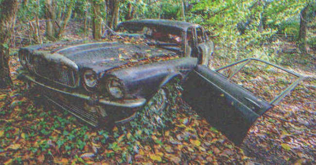 Automóvil antiguo abandonado en medio del bosque. | Foto: Shutterstock