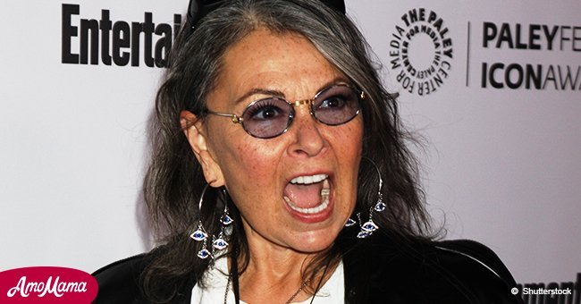 Roseanne Barr returns to Twitter to insist she isn't racist