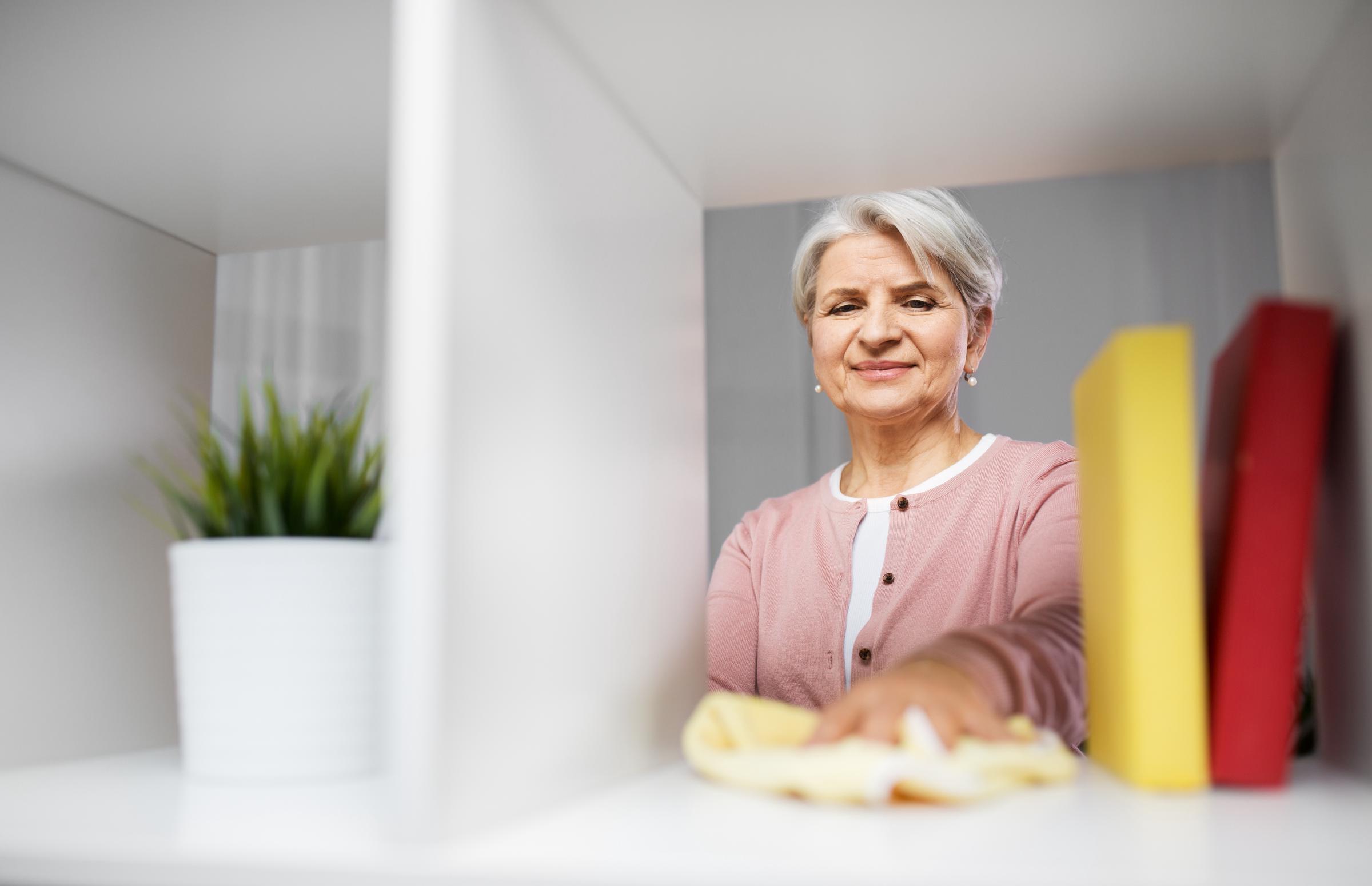 Woman cleaning her space | Source: Shutterstock
