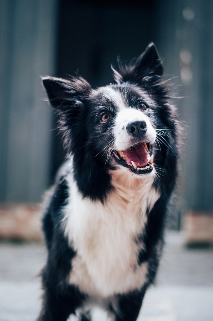 Ben and Richie were living on the streets | Source: Unsplash