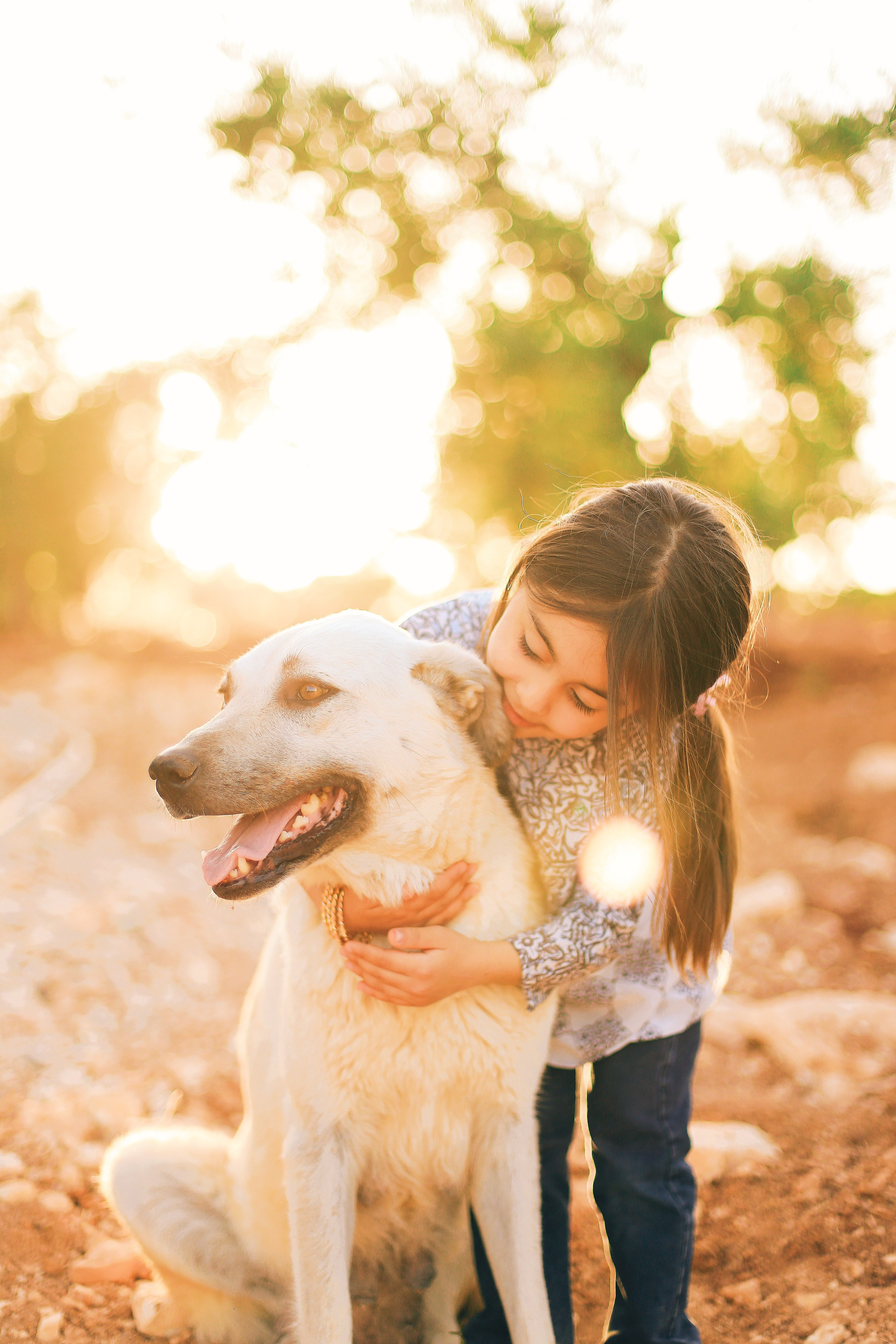 Paige and Simba reunited. | Source: Pexels