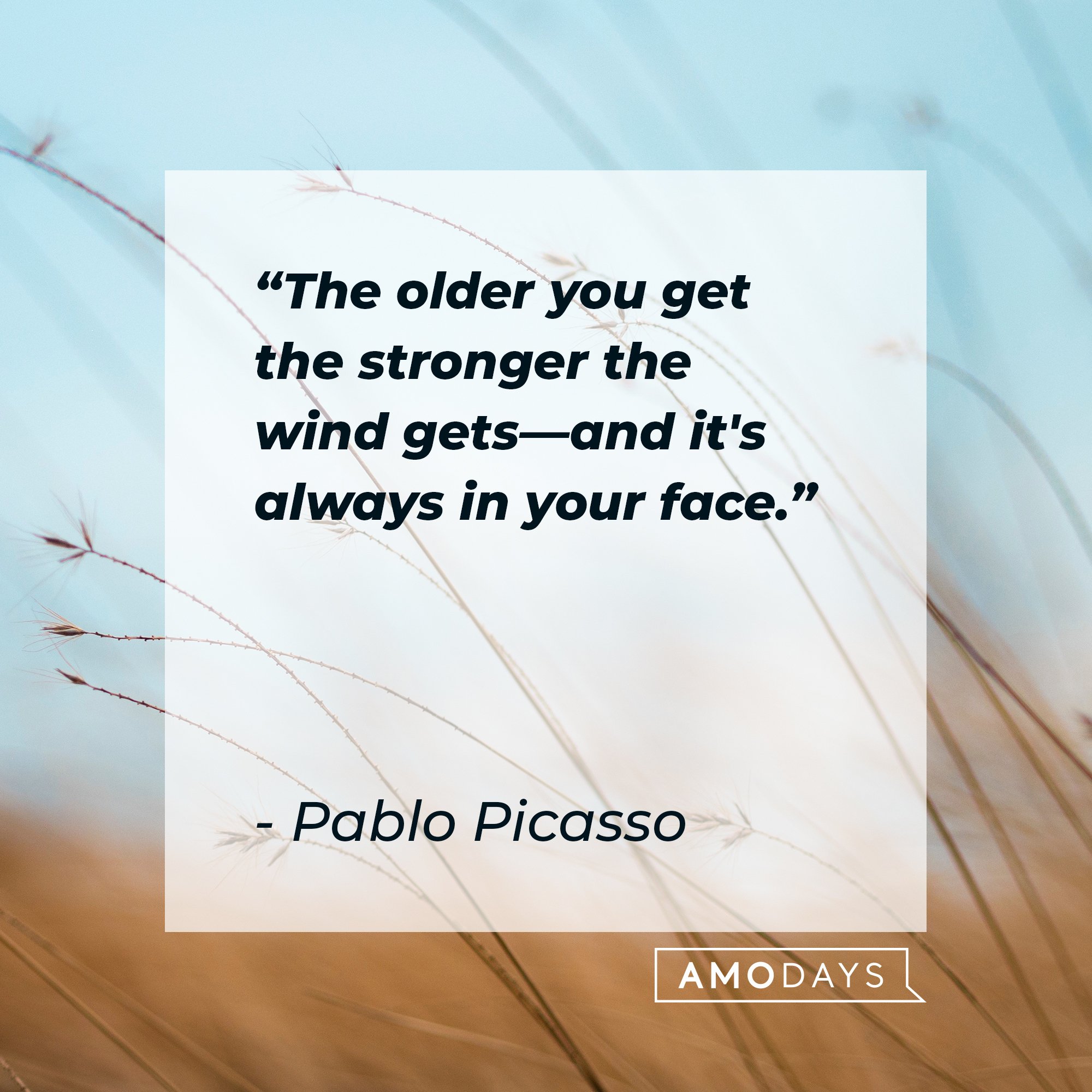 Pablo Picasso's quote: "The older you get the stronger the wind gets - and it's always in your face." | Image: AmoDays