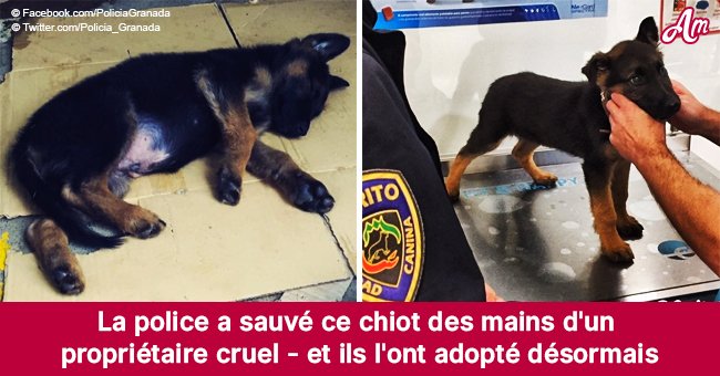 Après avoir arrêté un homme pour cruauté envers les animaux, la police a adopté son chiot maltraité