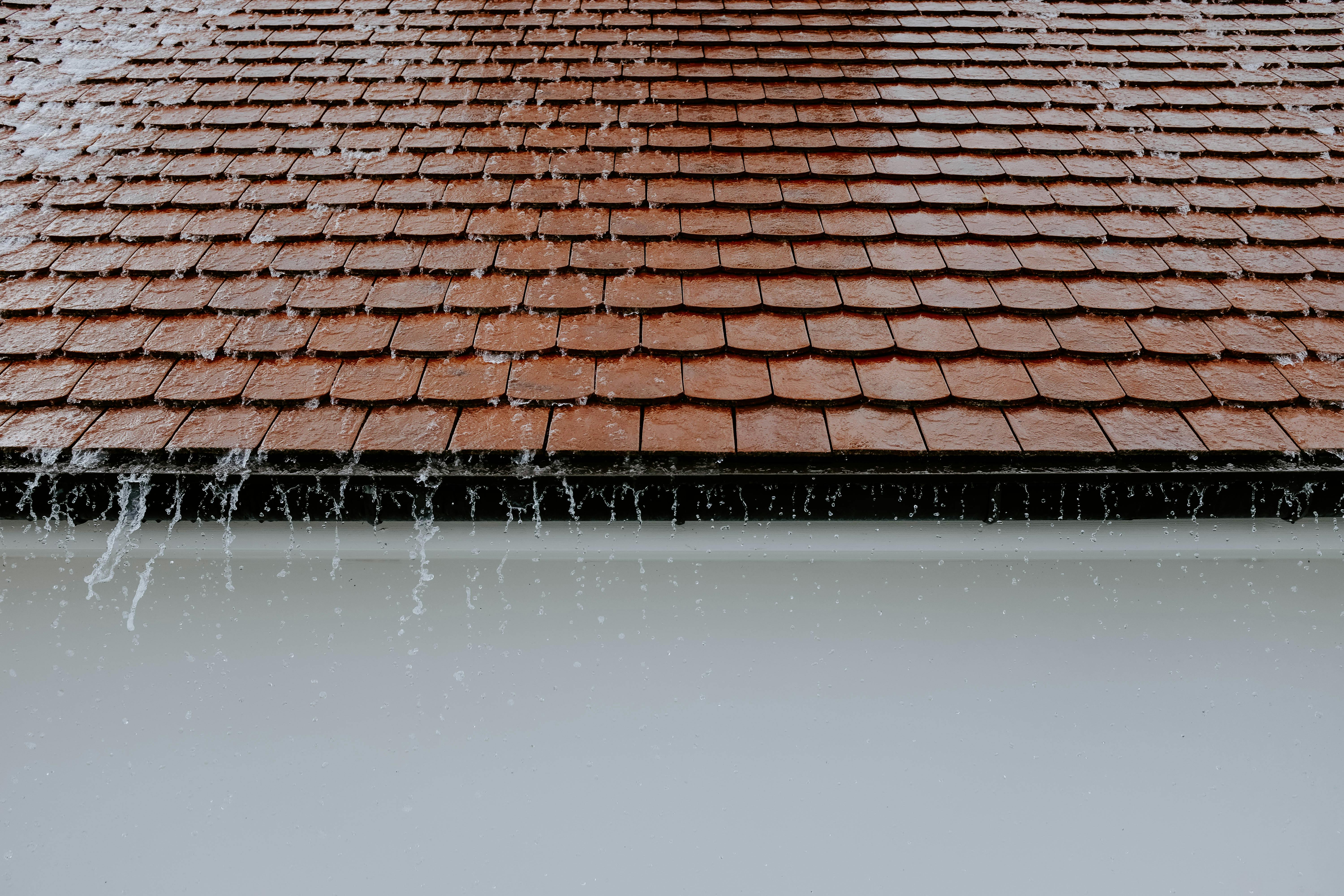 The rooftop of a house, slick with rain | Source: Pexels