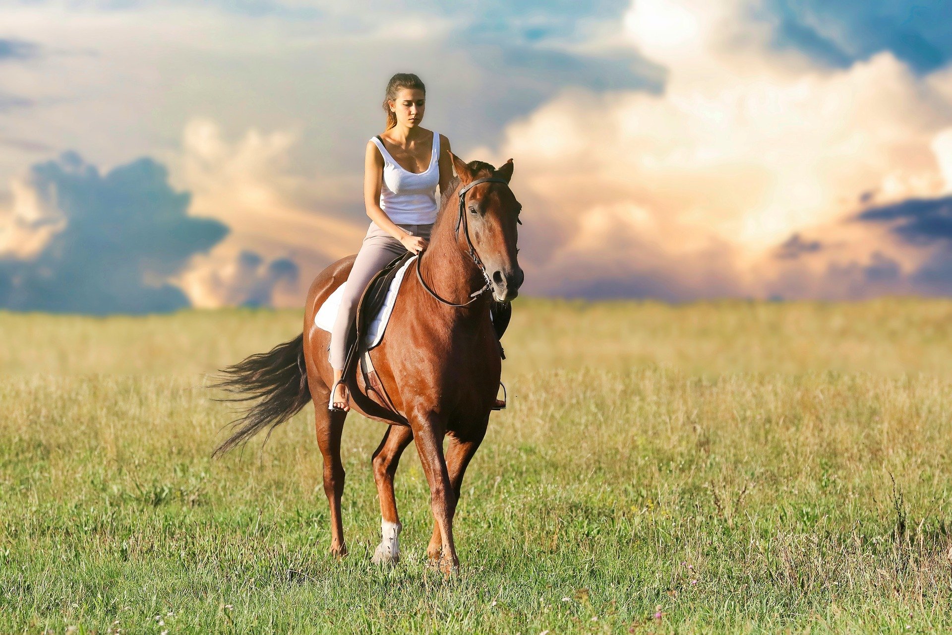Im Bild - Eine Frau reitet auf einem Pferd im Feld | Quelle: Pixabay 