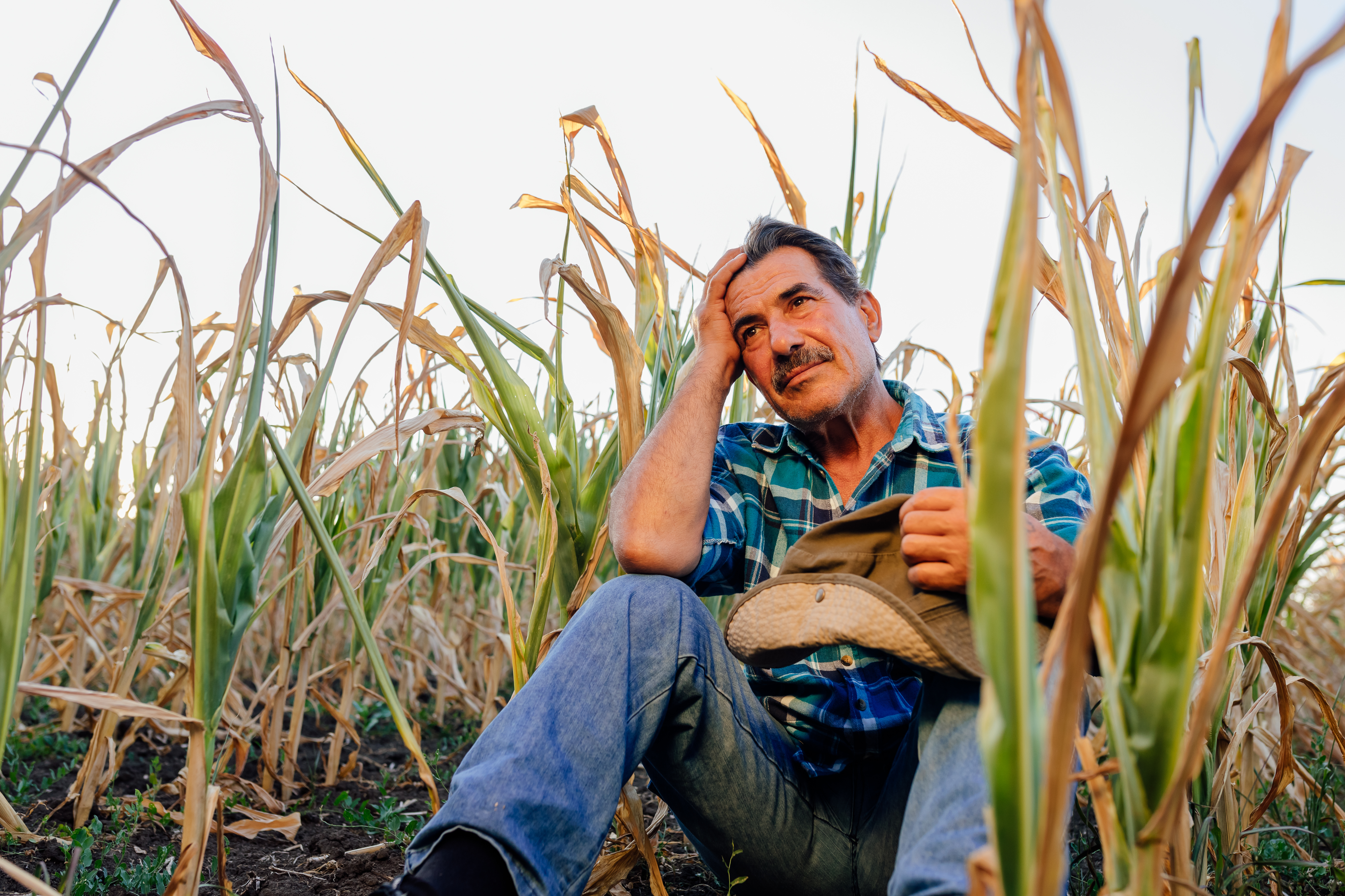 A lonely farmer | Source: Shutterstock