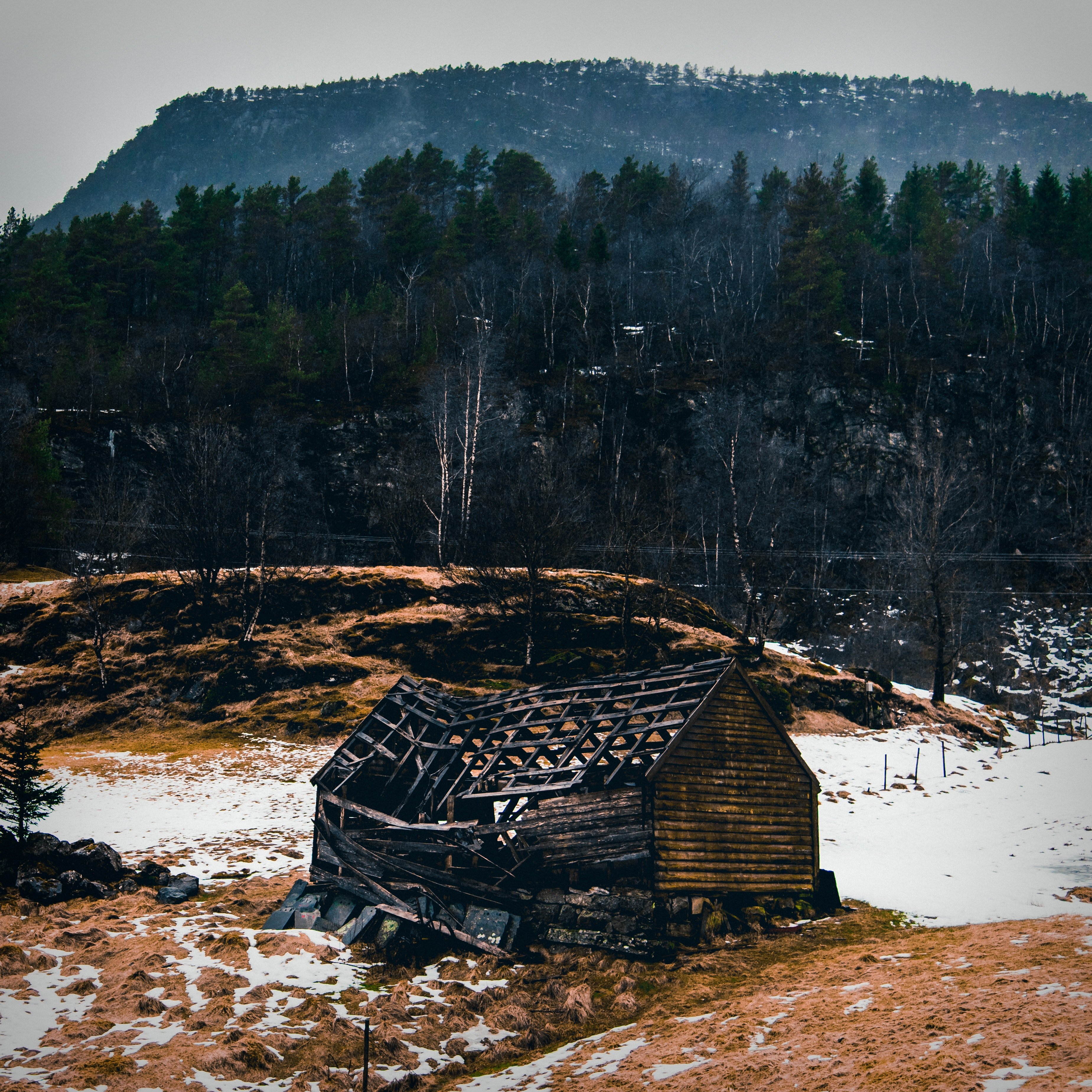 Dylan and grandma Ruth found a ruined cabin in the woods. | Source: Pexels