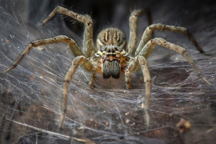 Imagen tomada de: Shutterstock Imagen tomada de: Shutterstock