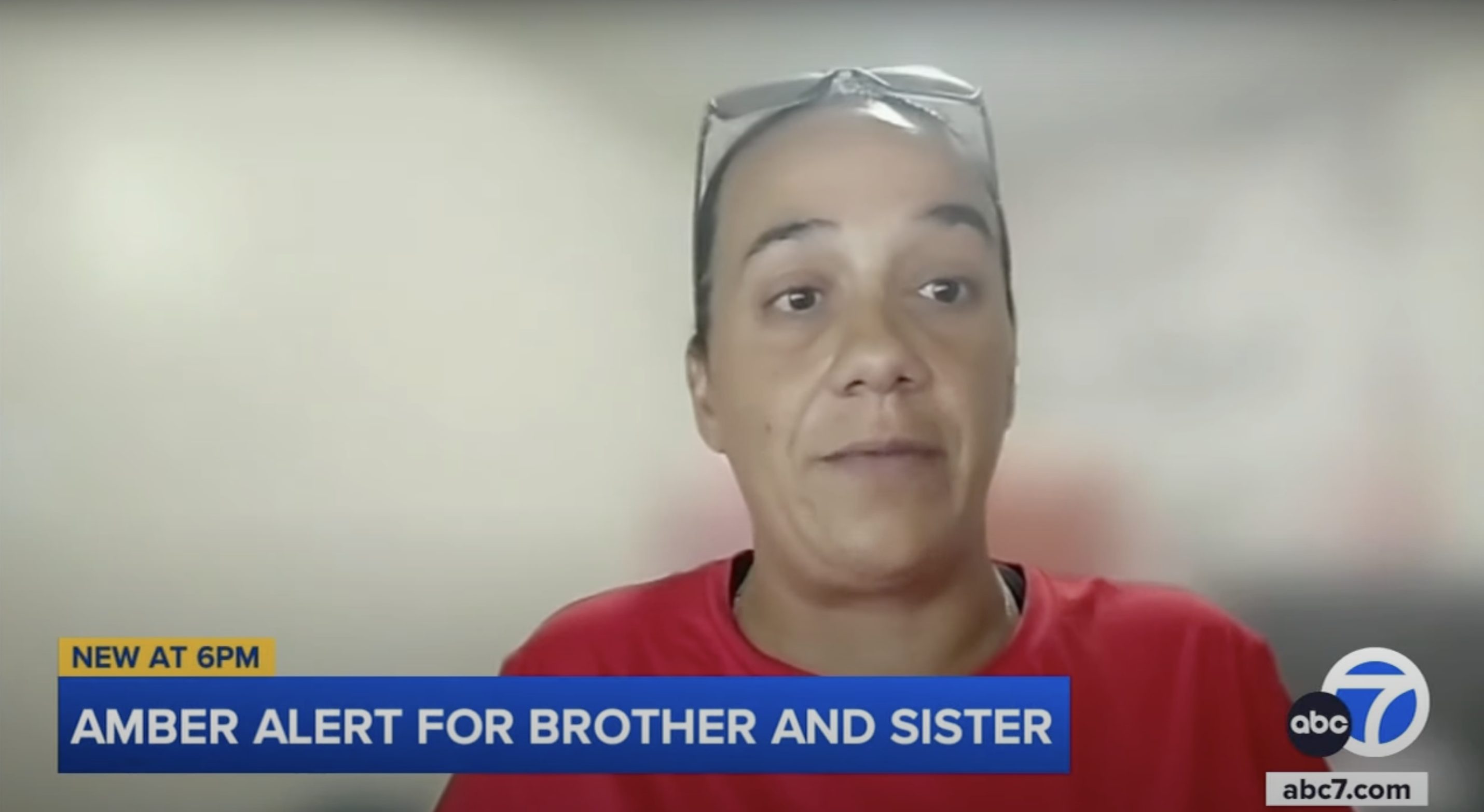 Nina Glass, director of the nonprofit Search & Rescue San Antonio, Inc., shares her thoughts on the Bryant siblings abduction, as seen in a video dated August 27, 2024 | Source: YouTube/ABC7