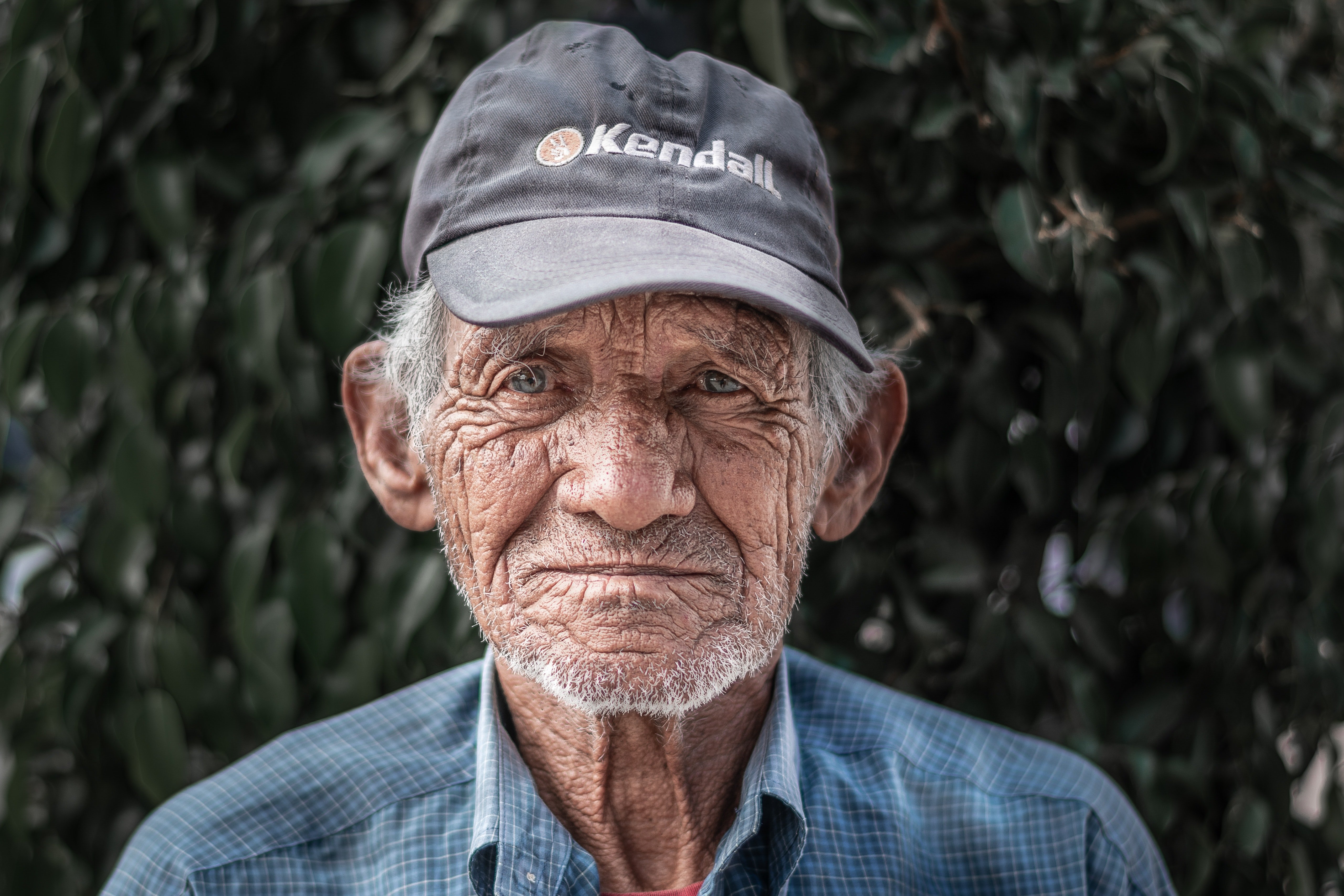 An elderly man wearing a blue collard shirt and a black cap | Source: Pexels 