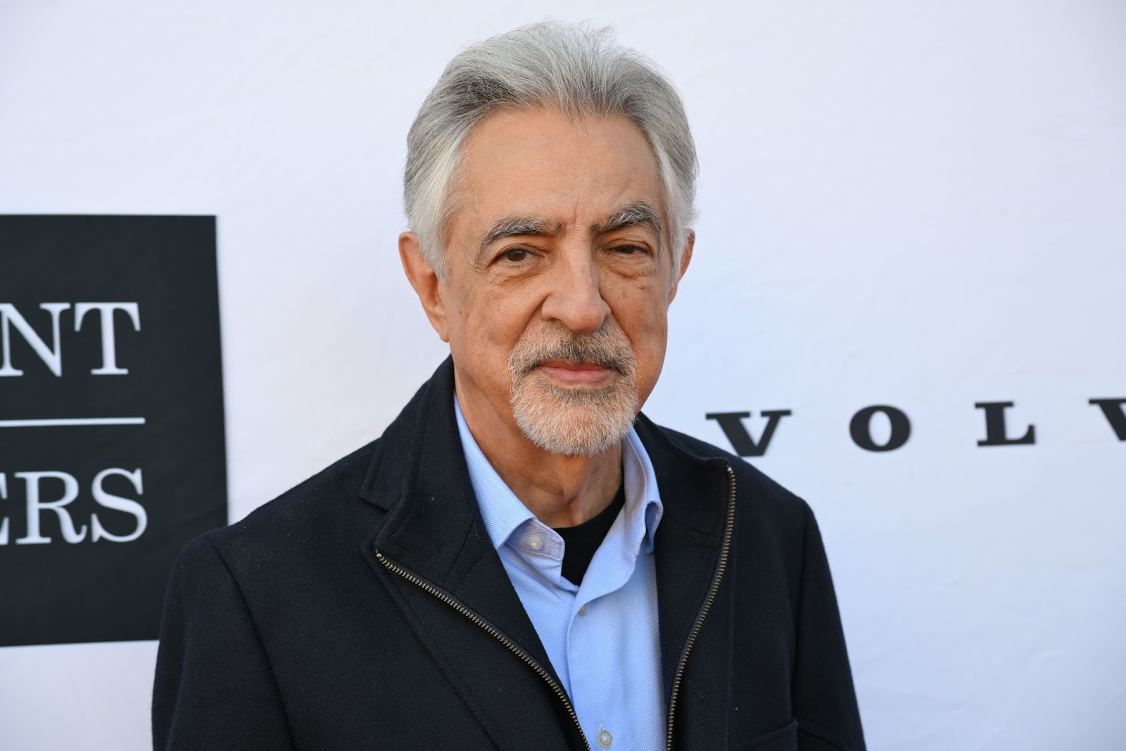 Joe Mantegna at the Pageant of the Masters Art & Fashion Affair on August 24, 2024, in Laguna Beach, California. | Source: Getty Images