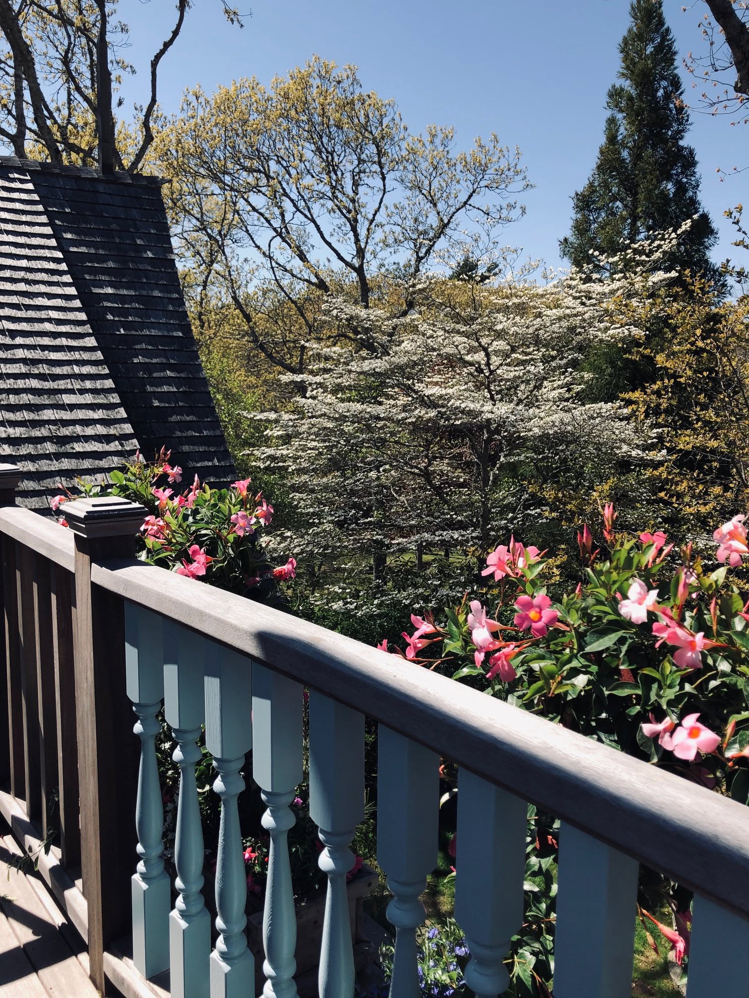 The view from the balcony of her property, which she eventually bought from James Taylor and renamed. This is a photo posted on May 20, 2020. | Source: Facebook/Carly Simon
